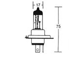 Glhlampe 12V 35/35W Px43T -