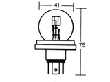 Glhlampe 12V 45/40W P45T -