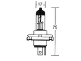 Glhlampe 12V 60/55W P45T -