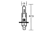 Glhlampe 12V 55W P14,5S H1 -