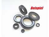 Motorsimmering Satz Xt550/600 - (10 STK)