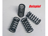 Kupplungsfeder Sk-315 (4X) -